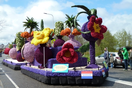 flower parade 2