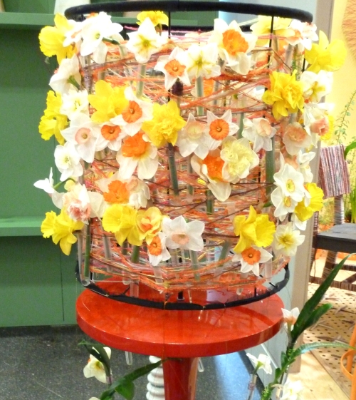 Daffodil display keukenhof