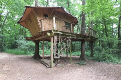 Treetop hotel at Magne