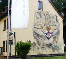 Hainich National park cat mural