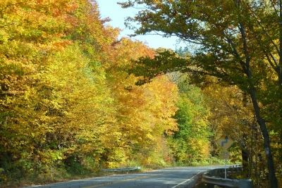 Fall colours on the Appalachian gap, Vermont