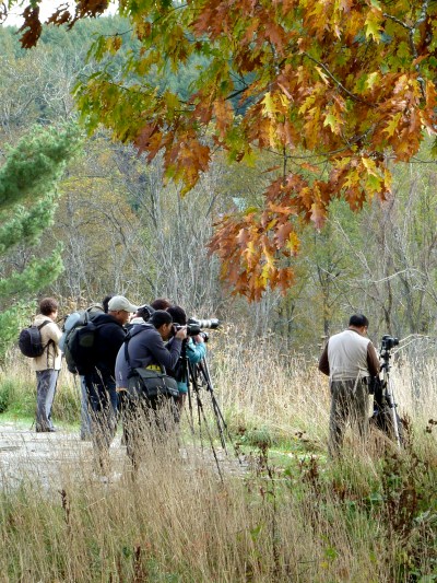 Photographers at Stowe