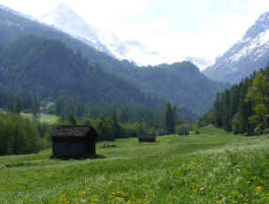 Evolne - alpine meadows